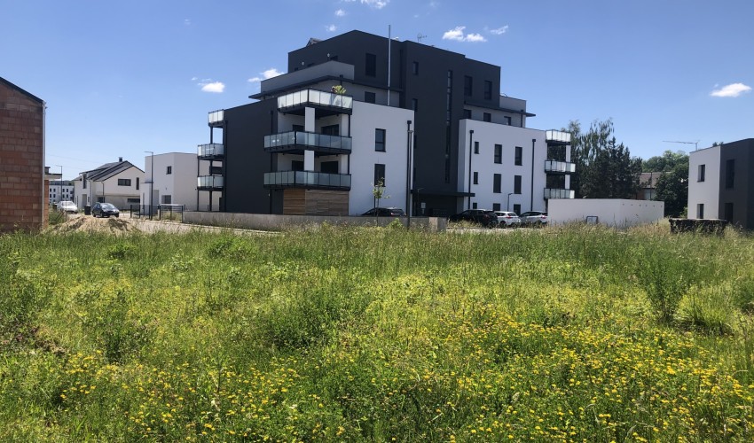 Reportage chantier - mai 2020