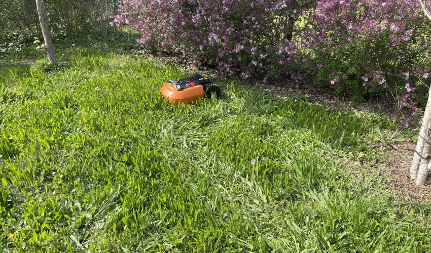 Reportage chantier - avril 2023