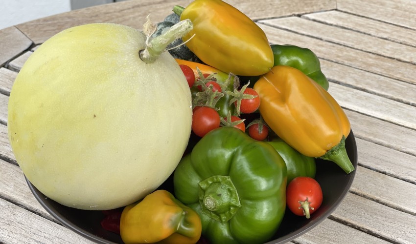 Reportage chantier - octobre 2021