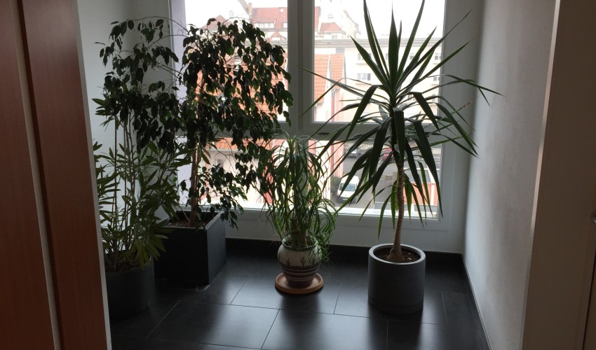 Reportage chantier - 