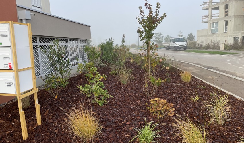 Reportage chantier - octobre 2024