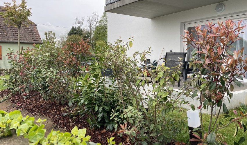 Reportage chantier - octobre 2024