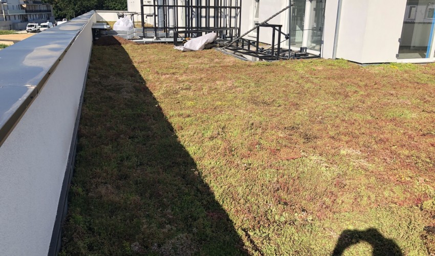 Reportage chantier - juin 2019